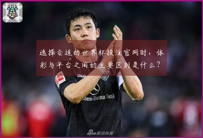 选择合适的世界杯投注官网时，体彩与平台之间的主要区别是什么？
