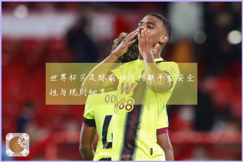 世界杯买足球前如何判断平台安全性与规则细节