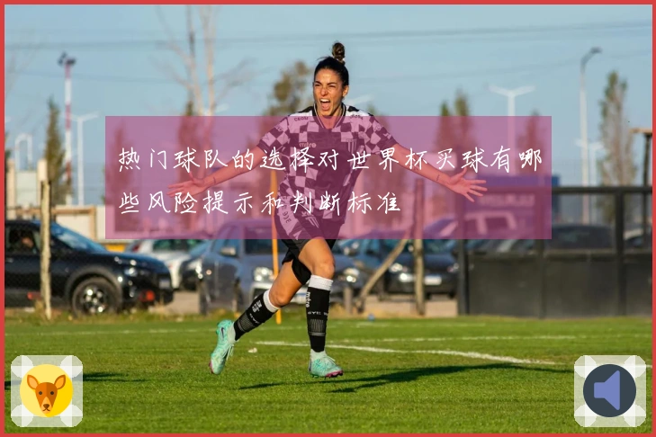热门球队的选择对世界杯买球有哪些风险提示和判断标准