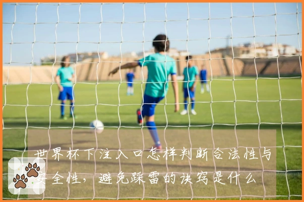 世界杯下注入口怎样判断合法性与安全性，避免踩雷的诀窍是什么