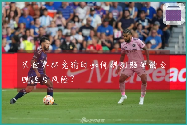 买世界杯竞猜时如何辨别赔率的合理性与风险？