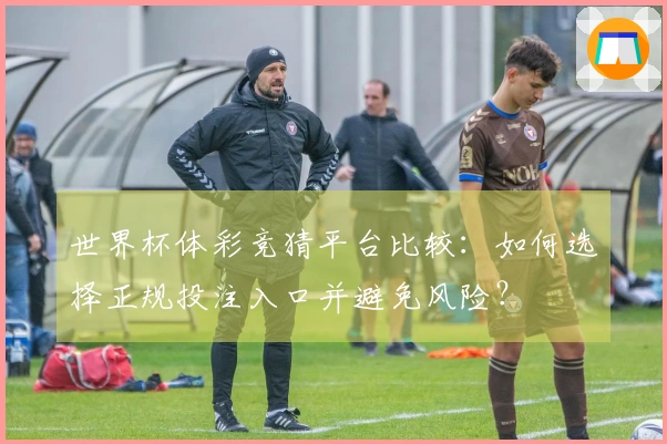 世界杯体彩竞猜平台比较：如何选择正规投注入口并避免风险？