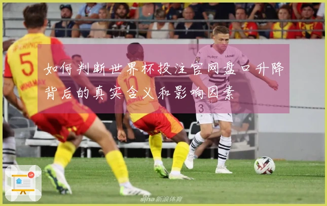 如何判断世界杯投注官网盘口升降背后的真实含义和影响因素