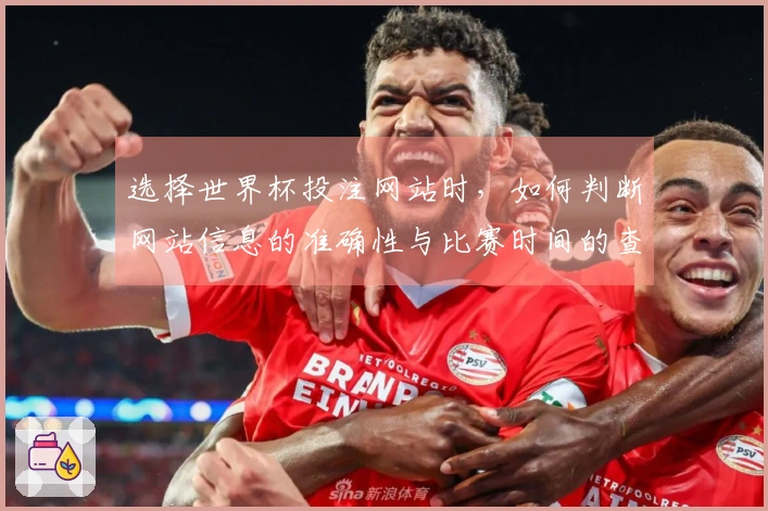 选择世界杯投注网站时，如何判断网站信息的准确性与比赛时间的查询方式？