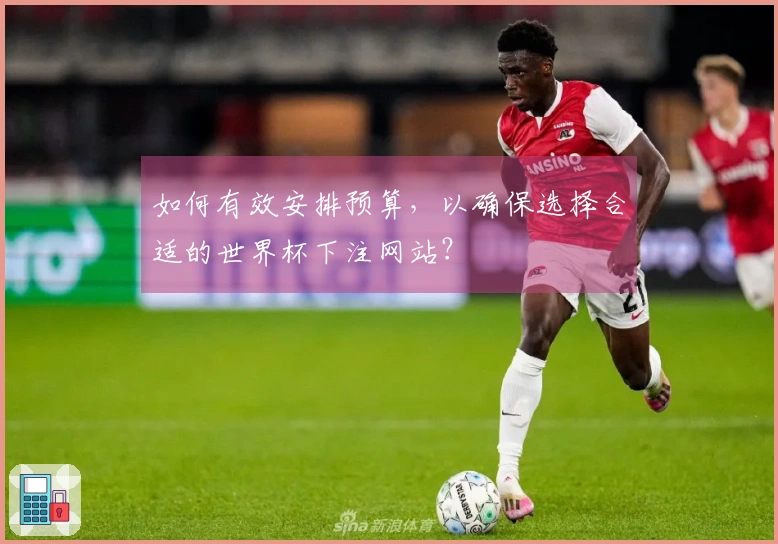 如何有效安排预算，以确保选择合适的世界杯下注网站？