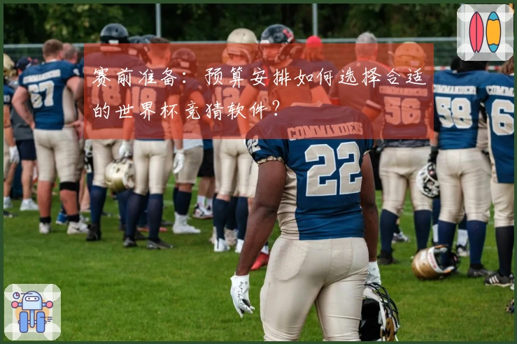 赛前准备：预算安排如何选择合适的世界杯竞猜软件？