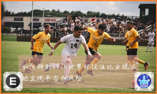 如何辨别2026世界杯投注比分玩法的正规平台和风险