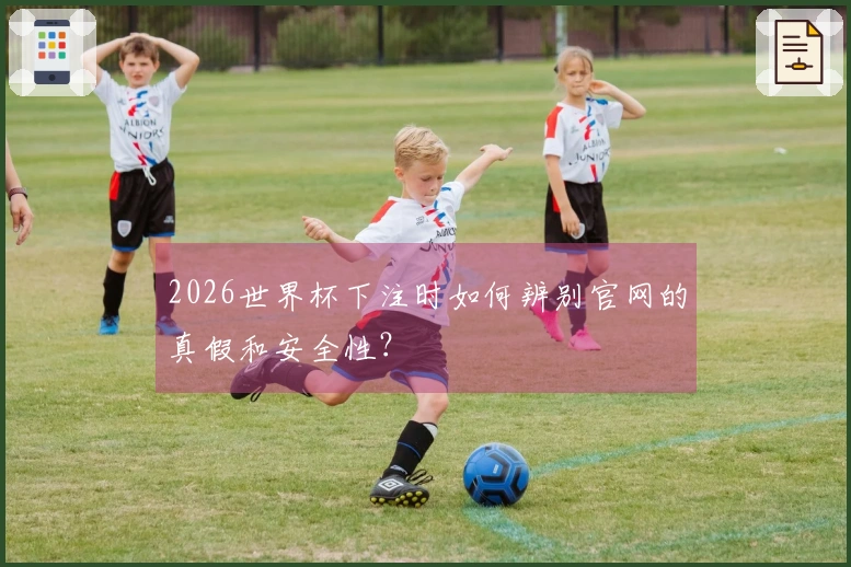 2026世界杯下注时如何辨别官网的真假和安全性？