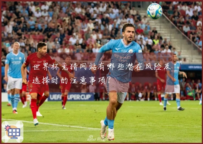世界杯竞猜网站有哪些潜在风险及选择时的注意事项?