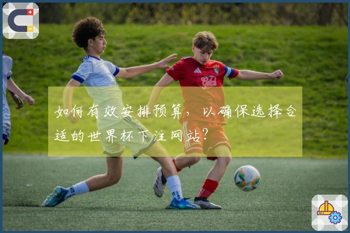如何有效安排预算，以确保选择合适的世界杯下注网站？